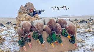 Duck Hunting In A Blizzard Snowstorm! (catch Clean Cook)