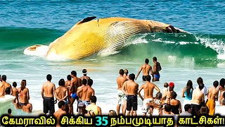 கேமராவில் சிக்கிய 35 நம்பமுடியாத தருணங்கள்! | Unbelievable Moments Caught On Camera | Tamil Ultimate