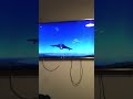 Swedish jet ( flown on war thunder - I forgot its exact name sorry!)