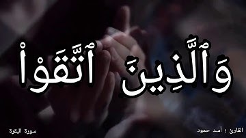 هدم همومك | بتلاوة طيبة  | بصوت القارئ اسد حمود