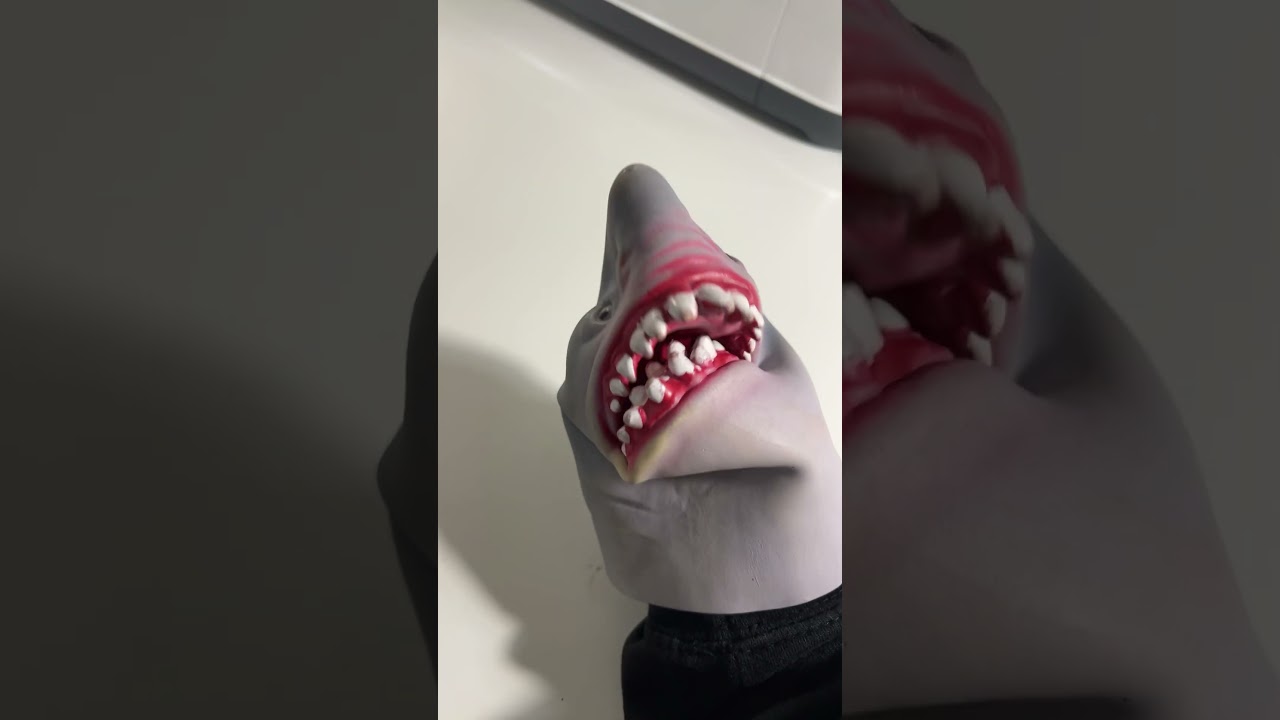 Shark puppet mom leave me alone I want to be famuse 
