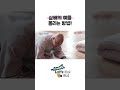 불교예절 초보탈출🐣 | 부처님께 삼배의 예를 올리는 방법🙏🏻#절 #사찰 #예의 Mp3 Song
