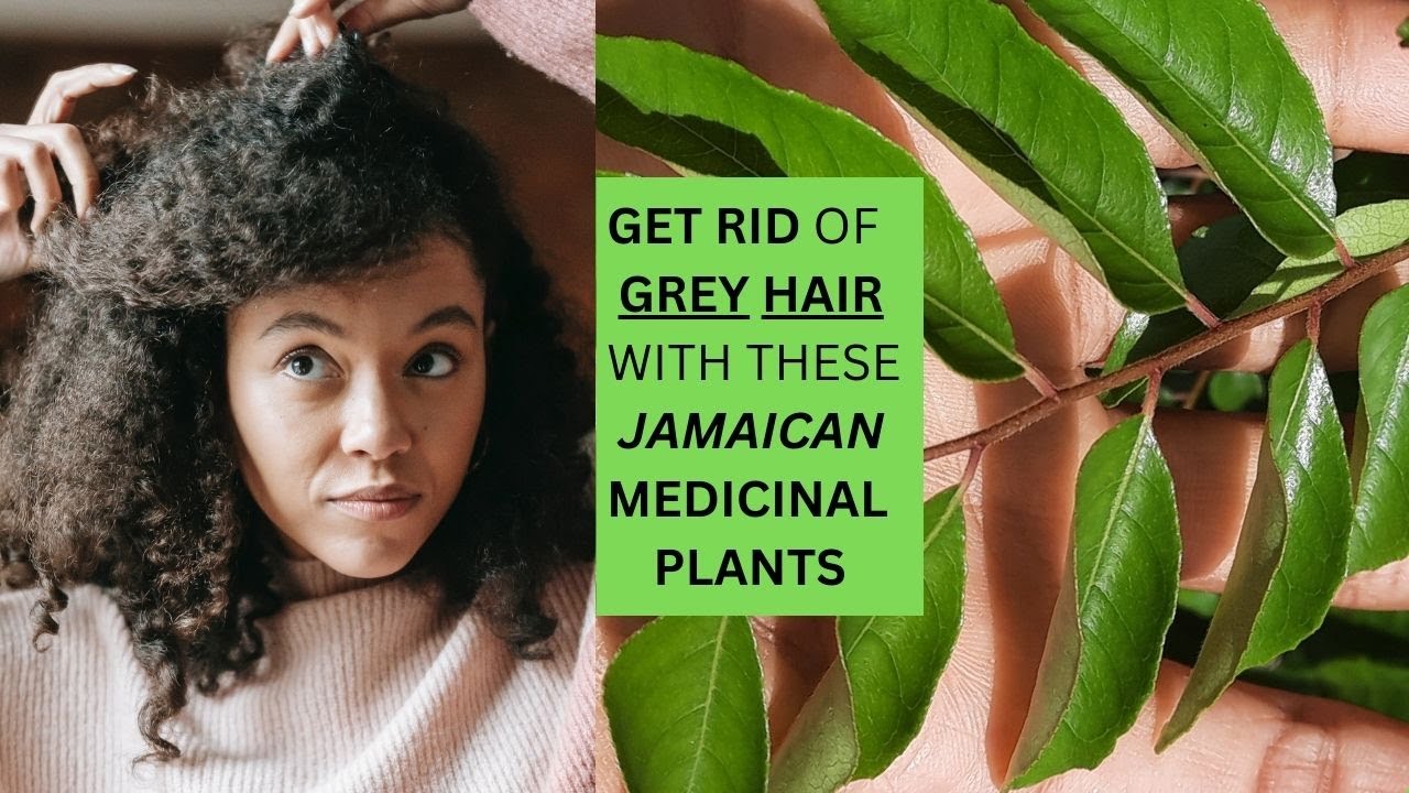 PREVENT Grey Hair NATURALLY / Earth's Medicine YouTube