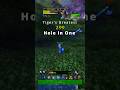 ⛳ Tiger’s Hole in One WoW PvP