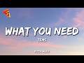 Tems What You Need Lyrics mp3