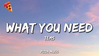 Download lagu Tems - What You Need (Lyrics)