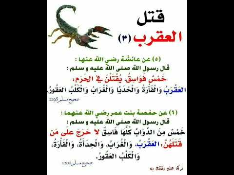 معلومة قتل العقرب قصص وروايات