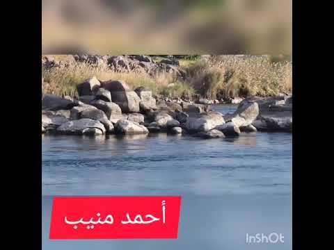 انا انسان وعنواني بلاد الدهب