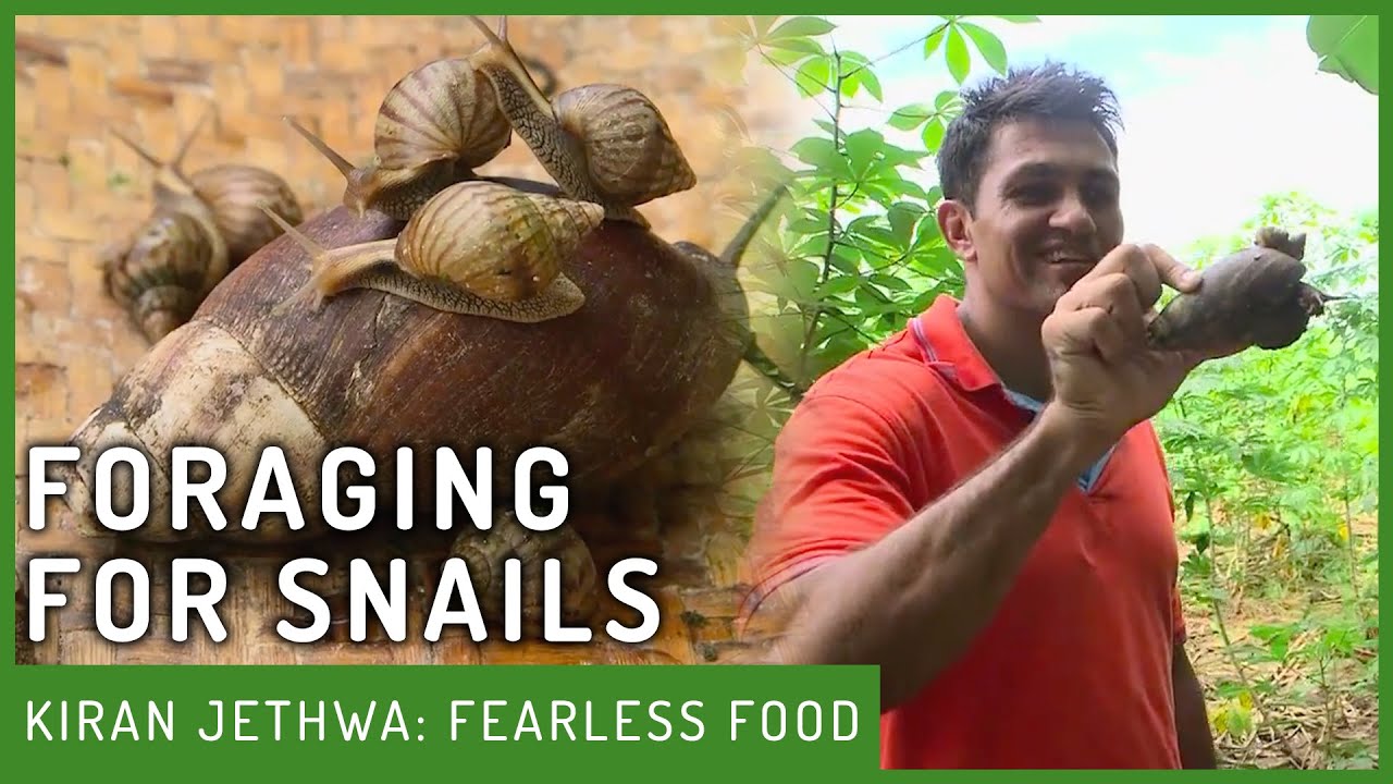 Catching Giant Land Snails | Fearless Food | Kiran Jethwa