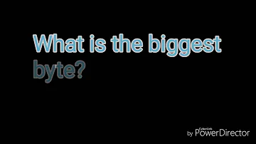 What is the biggest byte ever?