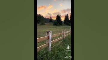 سورة يس بصوت الشيخ اسلام الصبحي🌹 #قران_كريم #سورة_يس #الشيخ_اسلام_صبحي