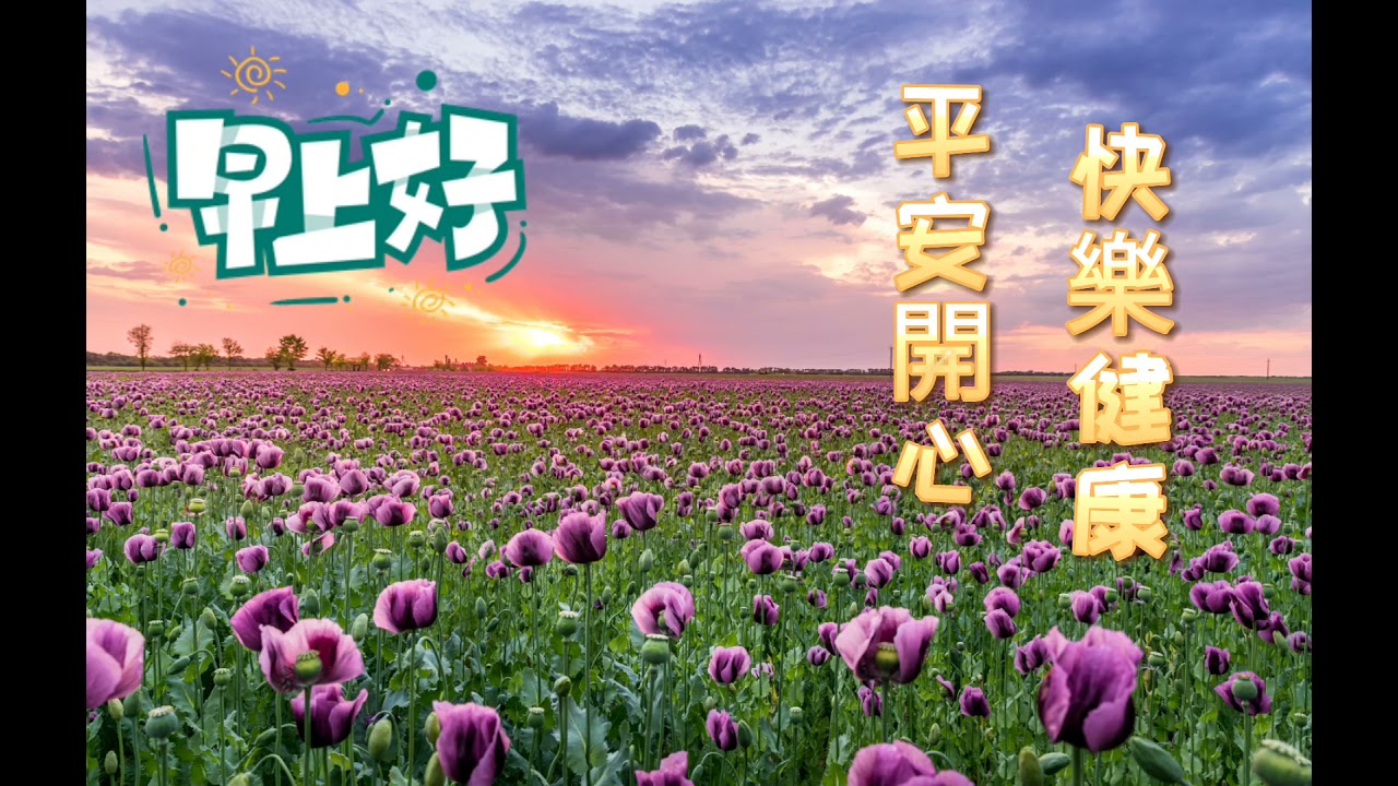 早安图片 早安祝福 轻松音乐 问候 紫色的花集 Good Morning Wishes And Greetings Purple Flowers Youtube