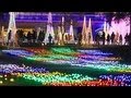 100万個の電球鮮やかに 宮崎の公園で電飾始まる