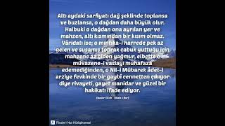 Sonra O Misafir, Nehirlere Bakar, Görür Ki...şualar 112