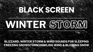 Blizzard, Winter Storm & Wind Sounds for Sleeping | Freezing Snowstorm | Howling Wind & Blowing Snow