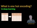 137 What is One-Hot Encoding in ML? 🔍