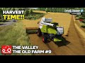 HARVEST TIME!! [The Valley The Old Farm] FS22 Timelapse # 9
