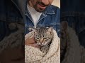 #bollywood I love cats souch like someone like his girlfriend #upcoming model it's me