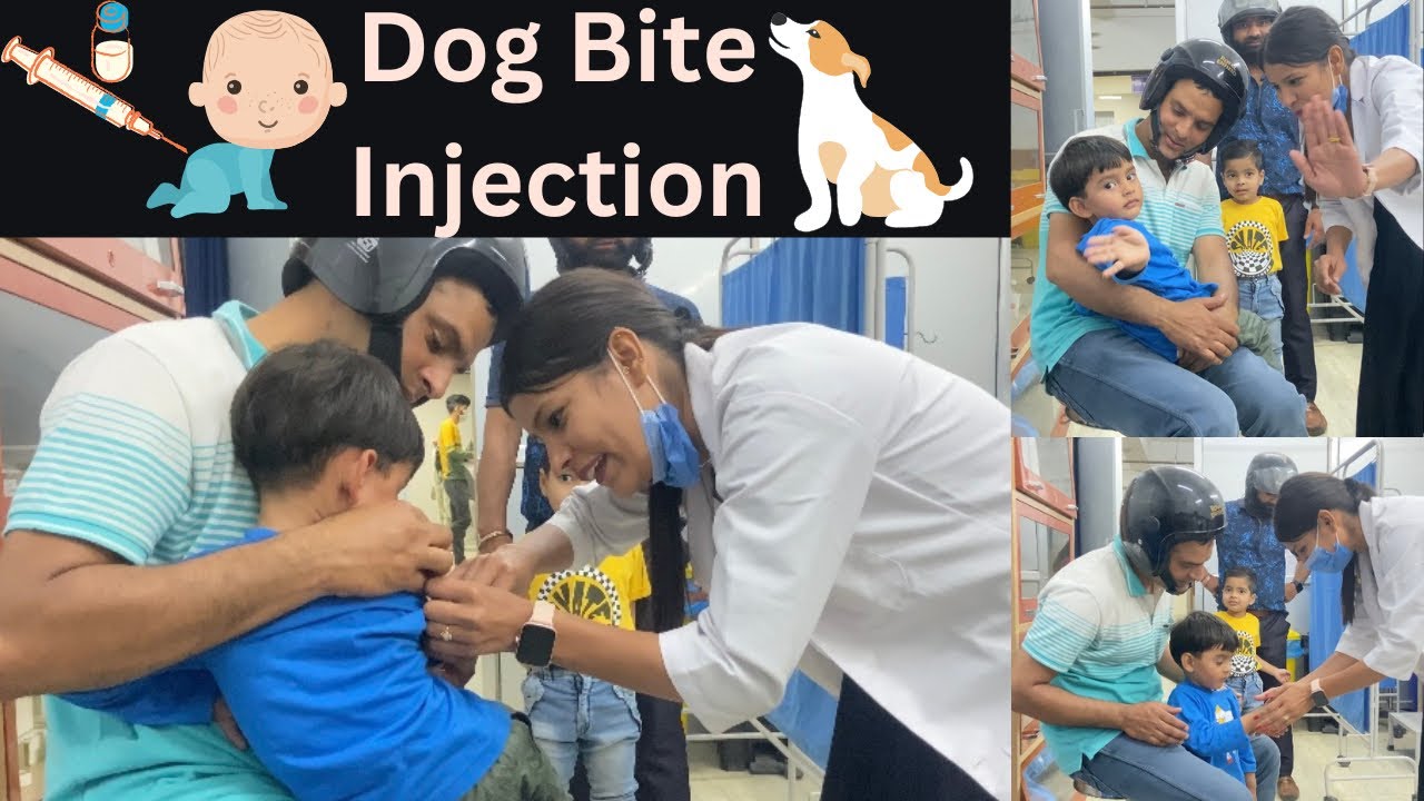 bacche-ko-lga-dogbite-injection-anti-rabies-vaccine-youtube