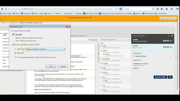 Downloading Feedback Files on Blackboard