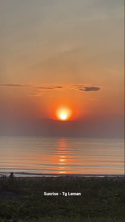Sunrise - Tg Leman #shorts #sunrise #tgleman