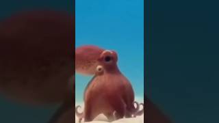 🐙🐙💞💞 #octopus  #gurita #shortvideo #shorts