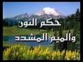 تعلم تجويد القران من الصفر الي الاحتراف