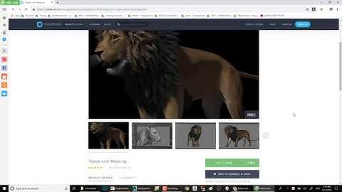 Extract issue and file not found after downloading from Cubebrush/ Gumroad/ Turbosquid...