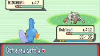 pokemon ruby walkthrough part 4:gym leader Roxanne!