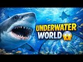 Sharjah Aquarium Travel 2026 – Marine Creatures Dubai life duo