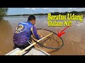 Sekali Sauk Beratus Udang Masuk ,Cara Sauk Udang Umpan (Vlog 153)