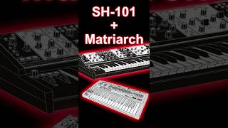 Roland SH-101 Bassline Meets Moog Matriarch Delay