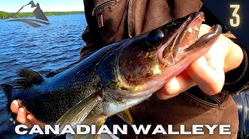 Canadian Walleye: Fishing Structure in a River System