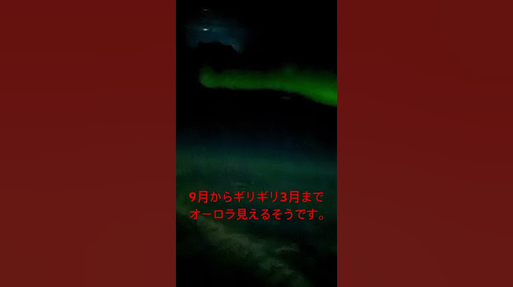 ANA直行便ビジネスクラス利用、ワシントンDCへ！