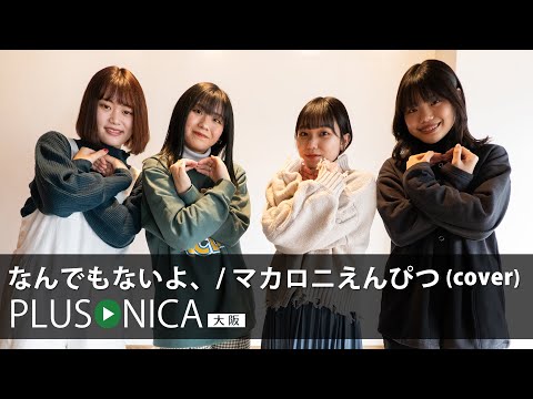 なんでもないよ マカロニえんぴつ Cover