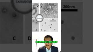 #10 Exosome Size - Real Science vs  Company Claims