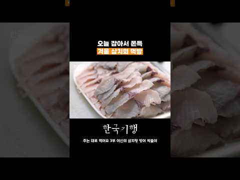 무심한 듯 툭툭 썰어먹는 <strong>삼치회</strong> #한국기행 #<strong>삼치회</strong>