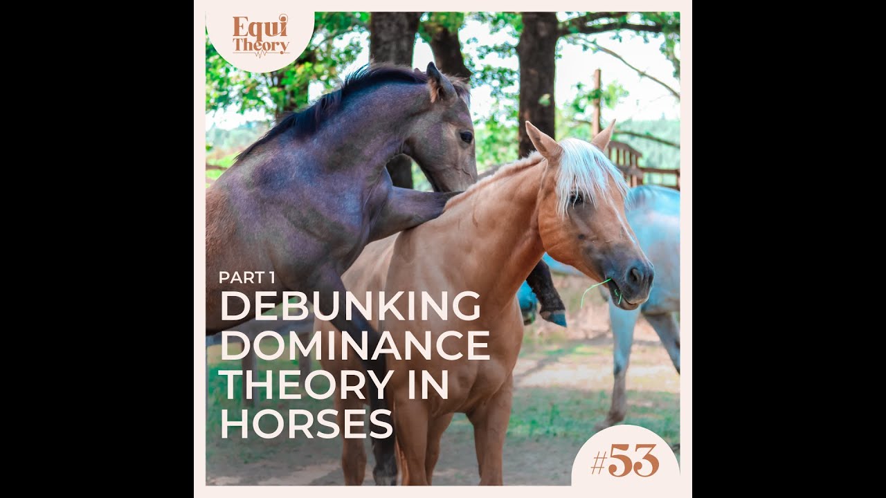 53. Debunking Dominance Theory in Horses (Pt. 1)