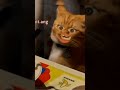 bagad Billa funny video#😆😆😆😆 shorts video # Indian luck #new video