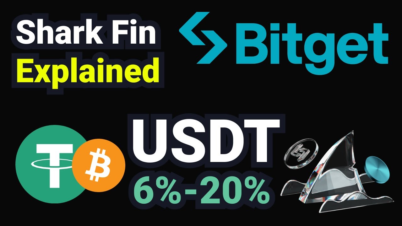 Shark Fin on Bitget Explained