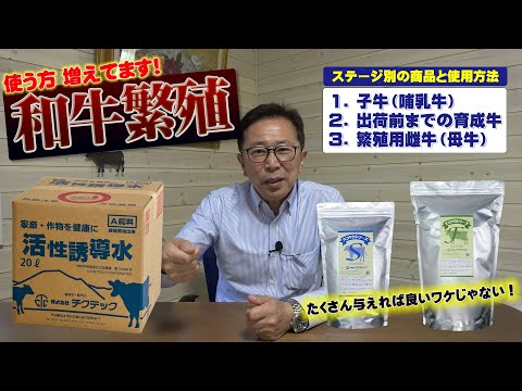 【和牛繁殖での使用方法】ステージ別にあった商品と使用方法について解説【DNW297】