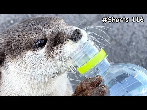 A man's chug