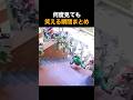 何度見ても笑える瞬間まとめ🤣🤣🤣