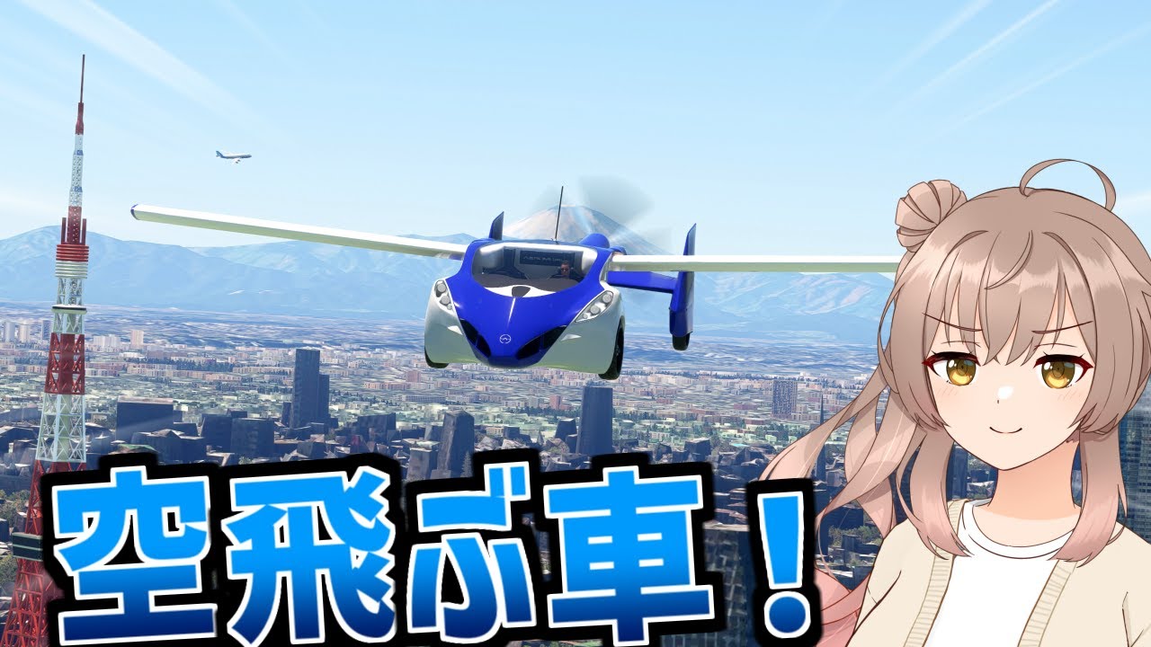 どんな道であろうが滑走路にするのさ！【Microsoft Flight Simulator】