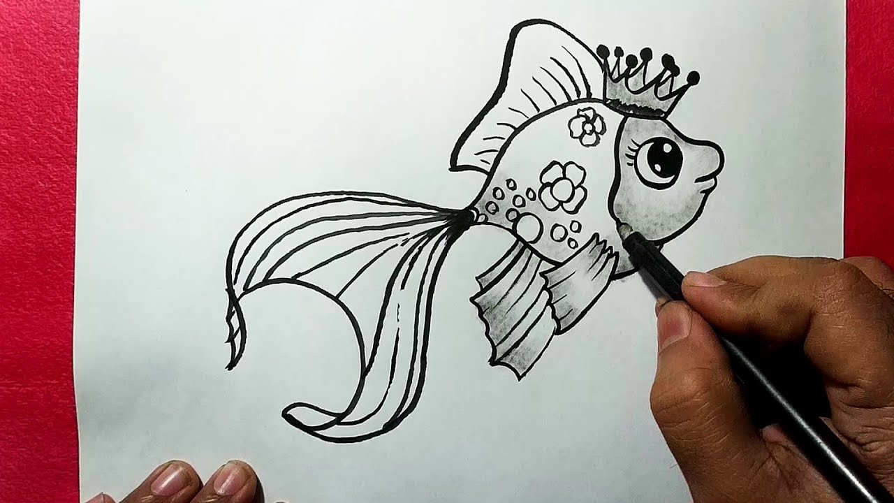 How to Draw a Beautiful Fish || Easy Line Drawing of a Fish ...