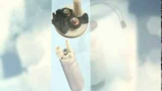 Bomba De Gasolina Pointer