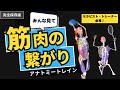 【完全版】日本で一番わかりやすい筋肉のつながり動画