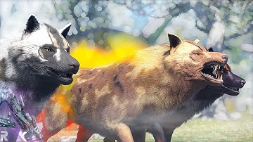 TAMING A PACK OF R-WOLVES...IT