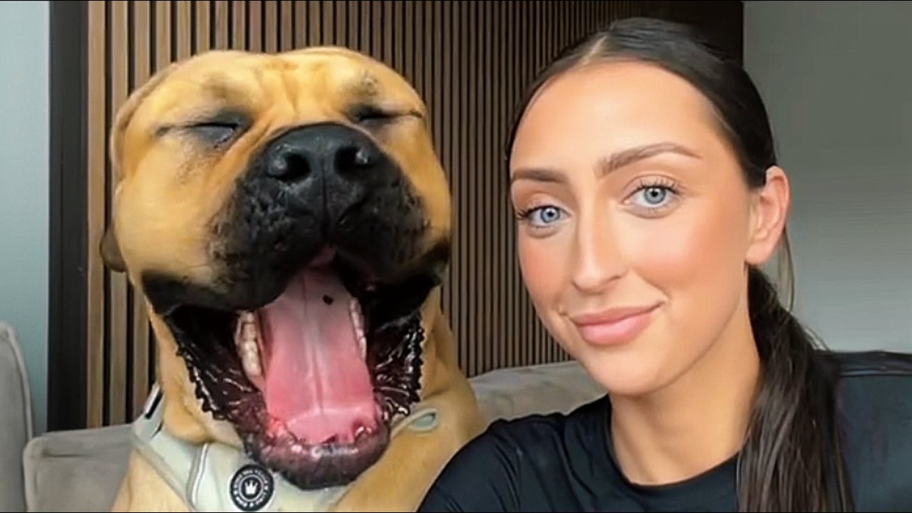 Они усыновили самого ленивого пса в мире — то, что он сделал в 2 часа ночи, изменило все