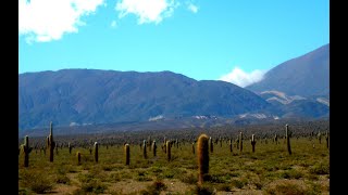 Prov. de Salta- Quebrada de Escoipe- Cuesta del Obispo- Piedra del Molino - Recta de Tin Tin
